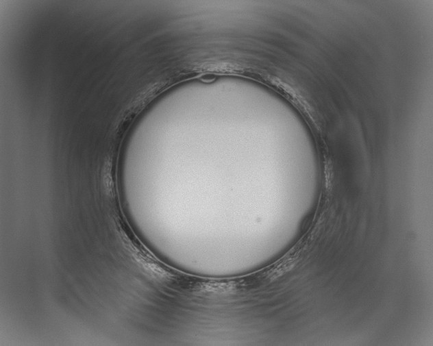 X0000073480353200608281555
