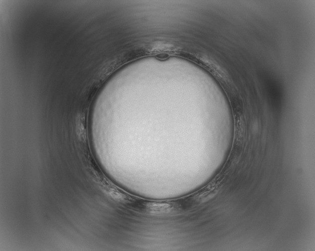 X0000073480361200608281555