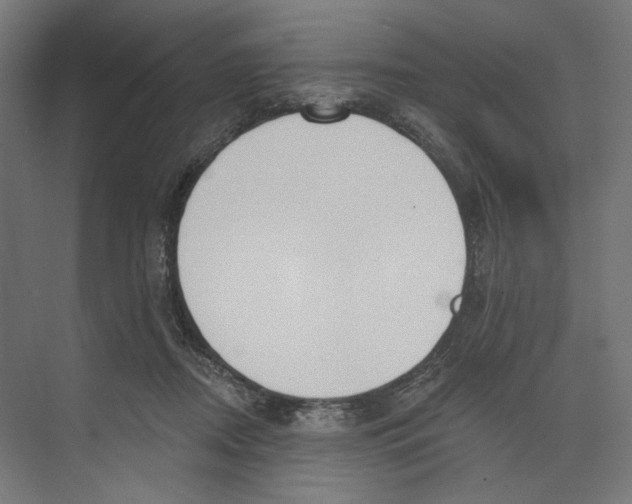 X0000073480362200608281555