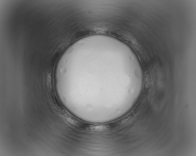 X0000073480365200608281555