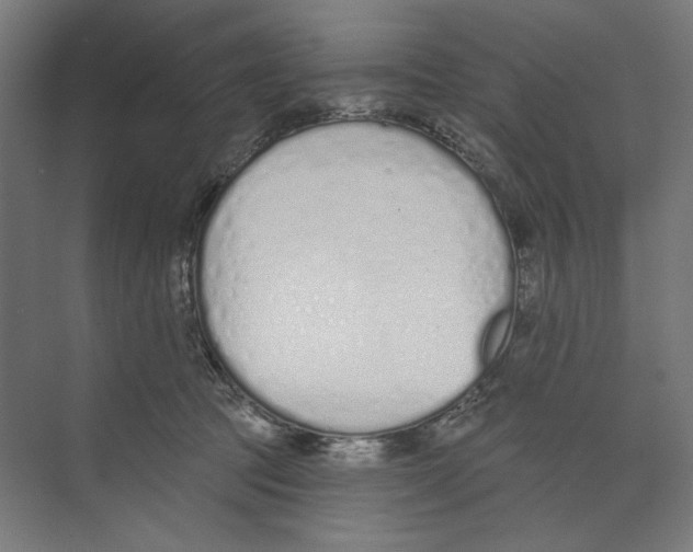 X0000073480369200608281555
