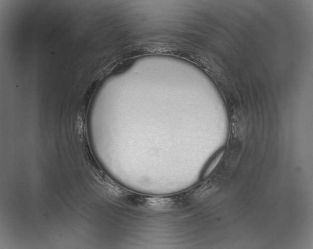 X0000073480371200608281556