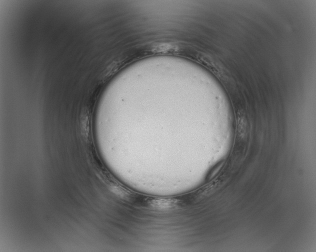 X0000073480375200608281556
