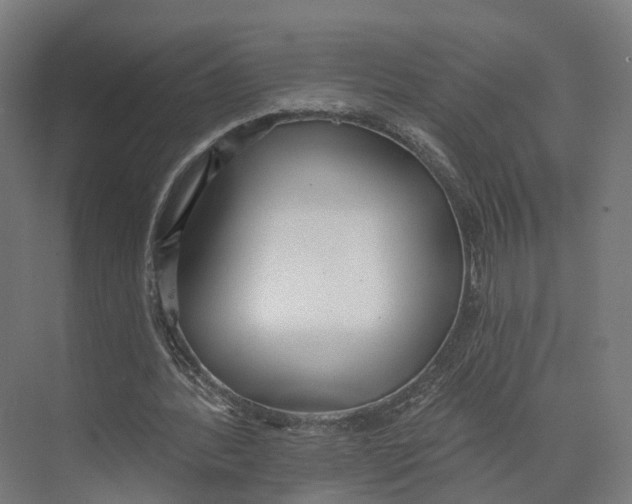 X0000073480388200608281555