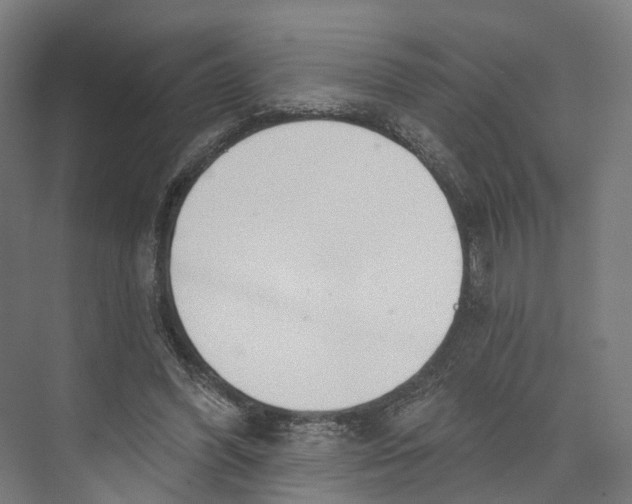 X0000073480396200608281555