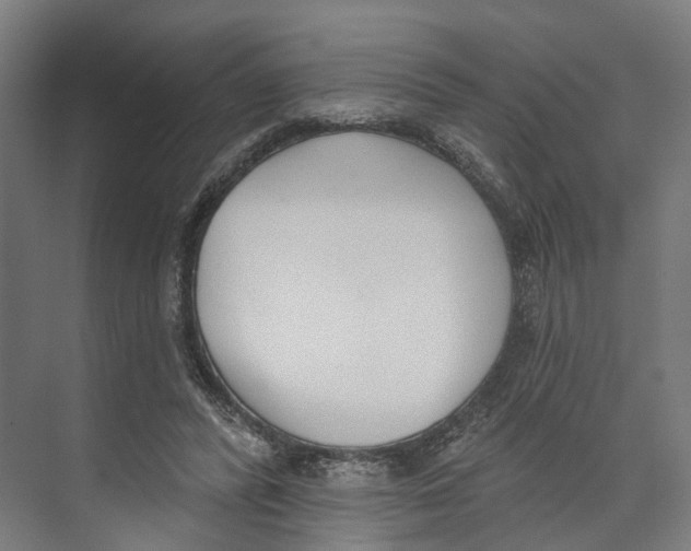 X0000073480400200608281555