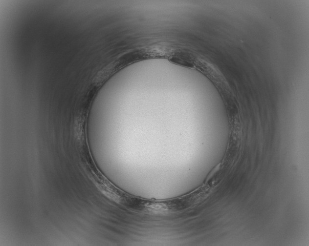 X0000073480409200608281555