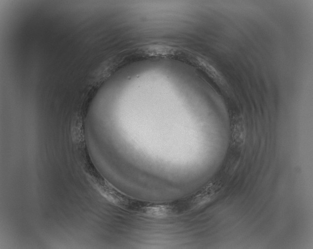 X0000073480411200608281554
