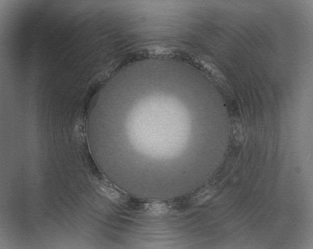 X0000073480419200608281554