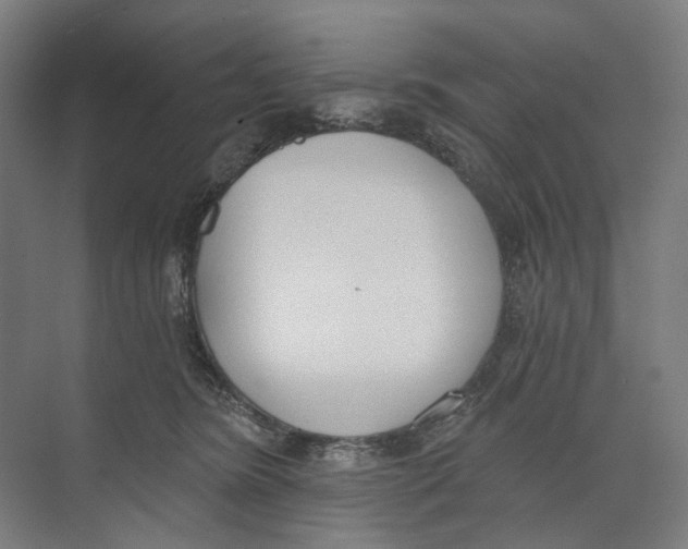 X0000073480420200608281554
