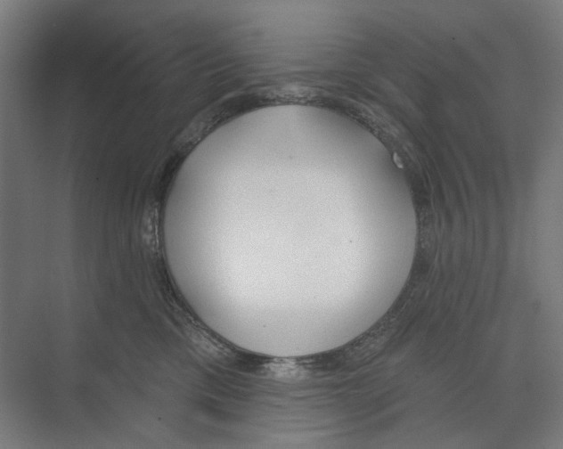 X0000073480425200608281554