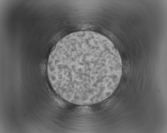 X0000073480427200608281554