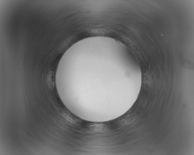 X0000073480428200608281554