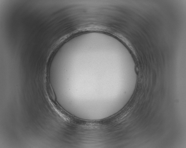 X0000073480437200608281553