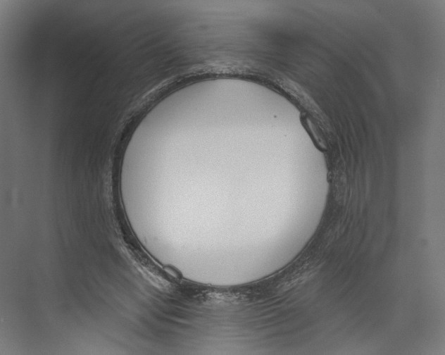 X0000073480442200608281553