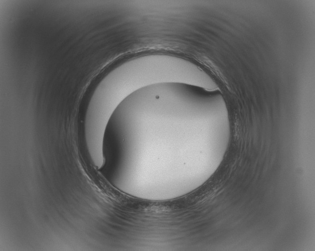 X0000073480444200608281554