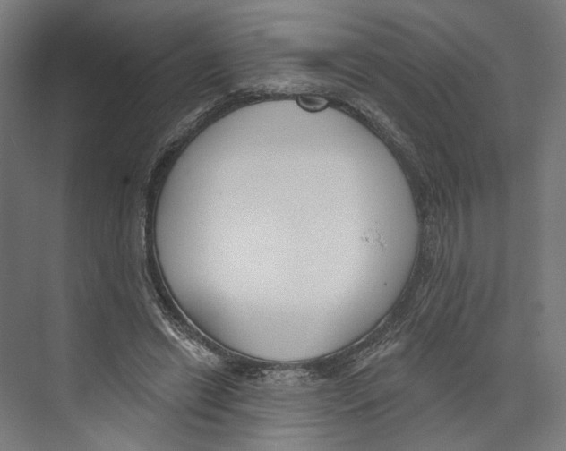 X0000073480446200608281554