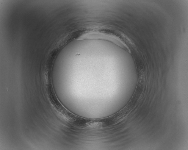 X0000073480452200608281554