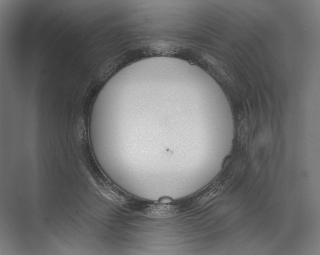 X0000073480459200608281554