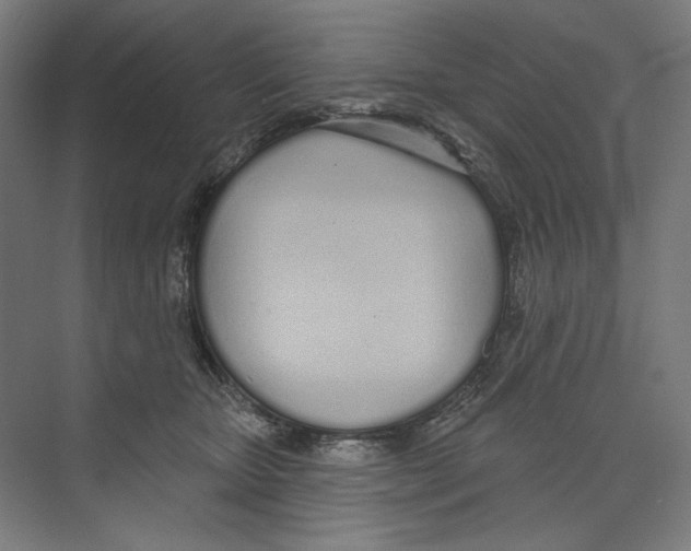 X0000073480467200608281554