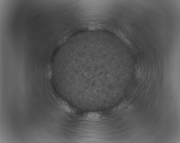 X0000073480471200608281554