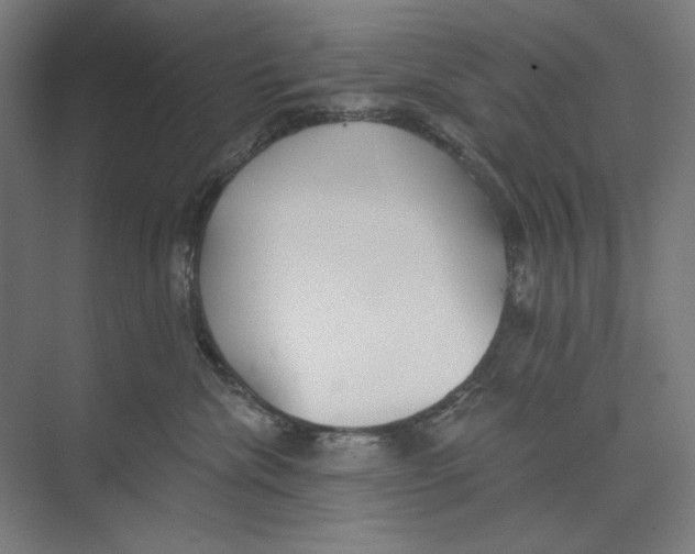 X0000073480476200608281554