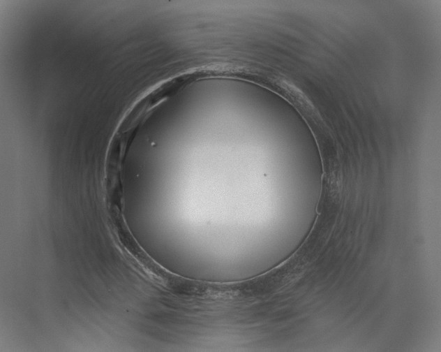 X0000073480484200608281553