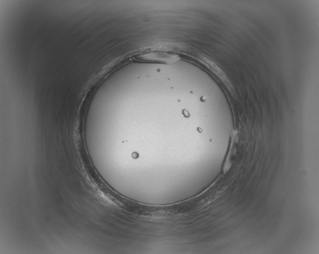 X0000073480485200608281553