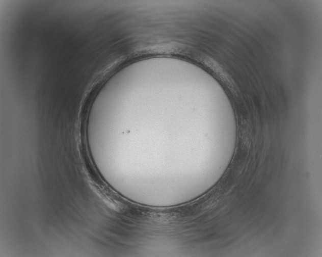 X0000073480486200608281553