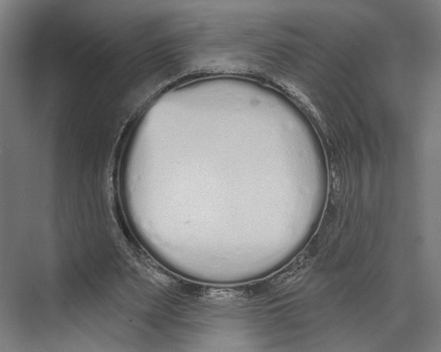X0000073480487200608281553