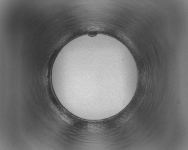 X0000073480490200608281553