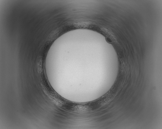 X0000073480498200608281553