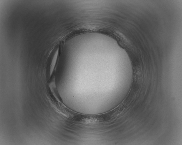 X0000073480500200608281553