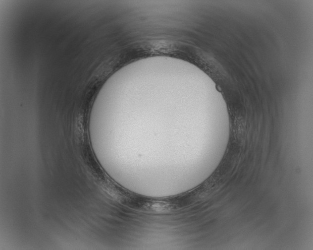 X0000073480506200608281553