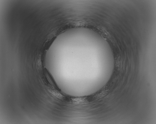 X0000073480516200608281553