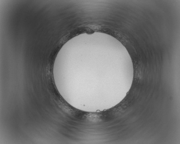 X0000073480518200608281553