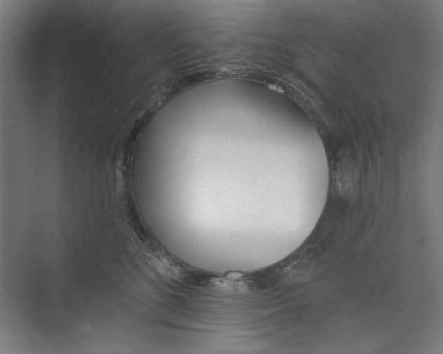 X0000073480520200608281553