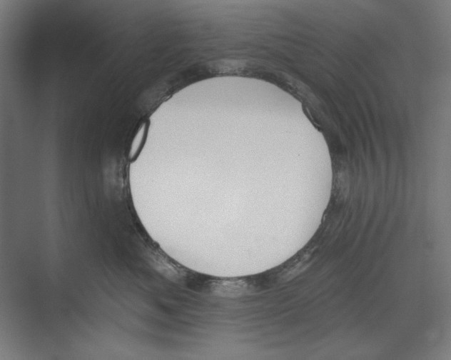 X0000073480525200608281553