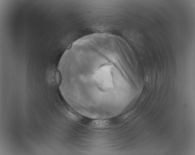 X0000073480526200608281553