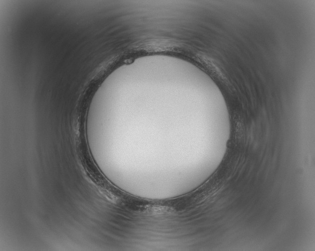 X0000073480539200608281552