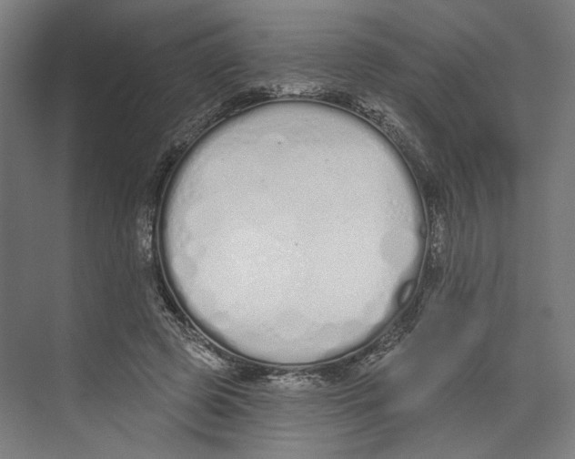 X0000073480545200608281552