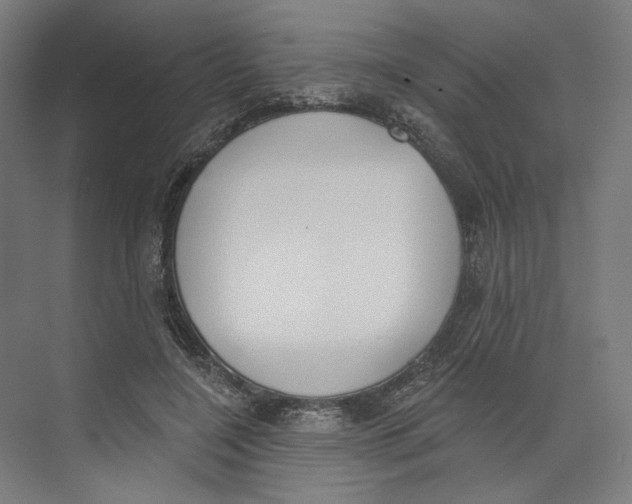 X0000073480548200608281552