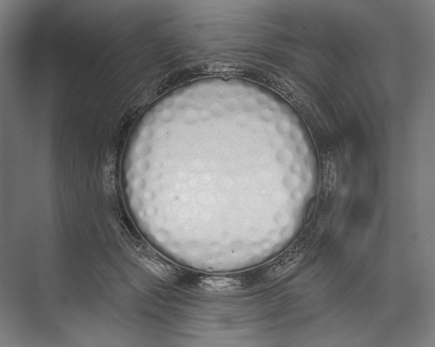 X0000073480557200608281552