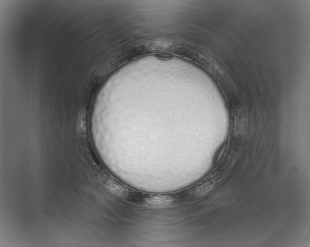 X0000073480561200608281552