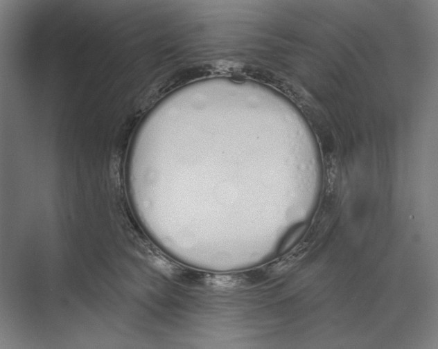 X0000073480565200608281552