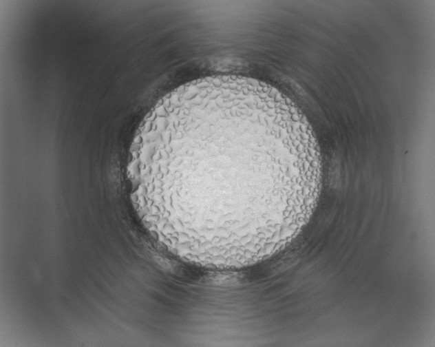 X0000073480569200608281552
