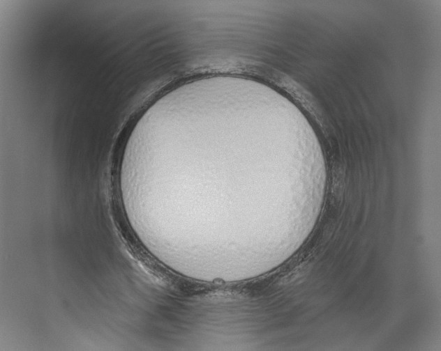 X0000073480578200608281552