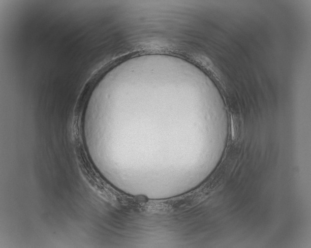 X0000073480579200608281552