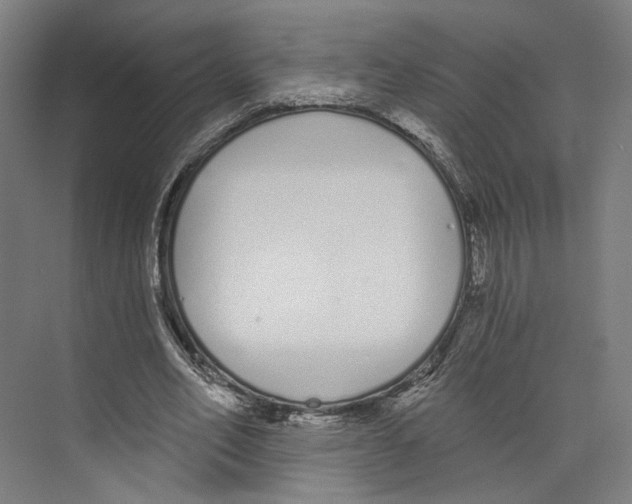 X0000073480582200608281552