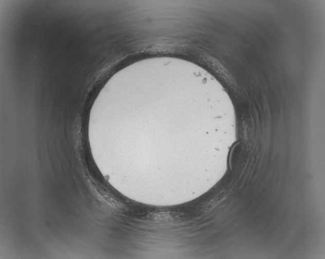 X0000073480588200608281552